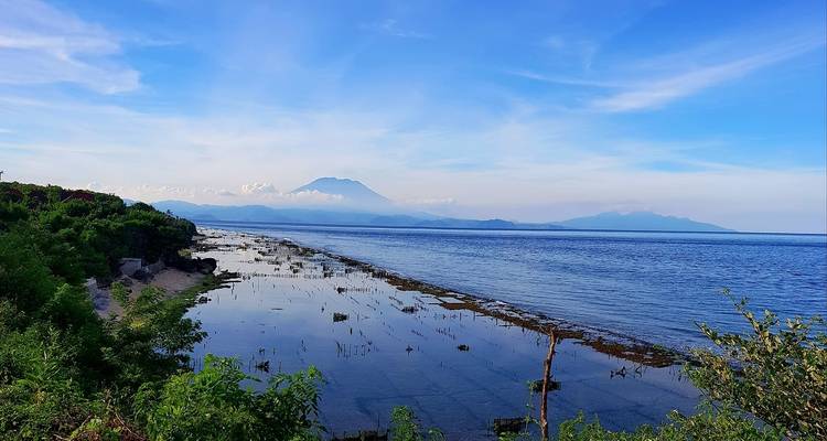 3 jours à Bali, y compris l'excursion de plongée en apnée à l'ouest de Nusa Penida. - STM Tours LLC 2