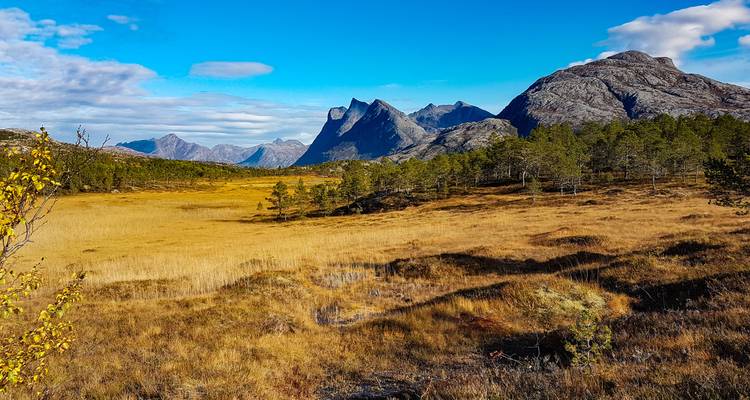 Explora Noruega: De la magia de los fiordos a las islas Lofoten - journaway DACH 7