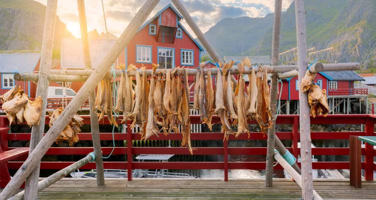 Explora Noruega: De la magia de los fiordos a las islas Lofoten - journaway DACH 8