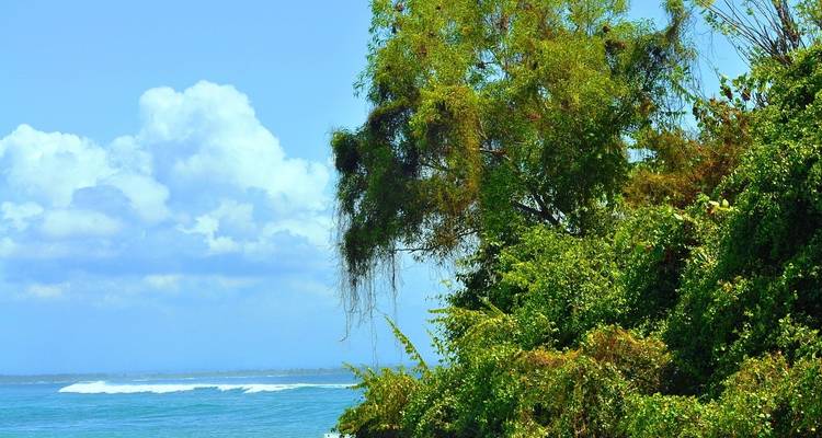 3 días en Bali incluyendo Bali Sur : Templo de Uluwatu y Garuda Wisnu - STM Tours LLC 3