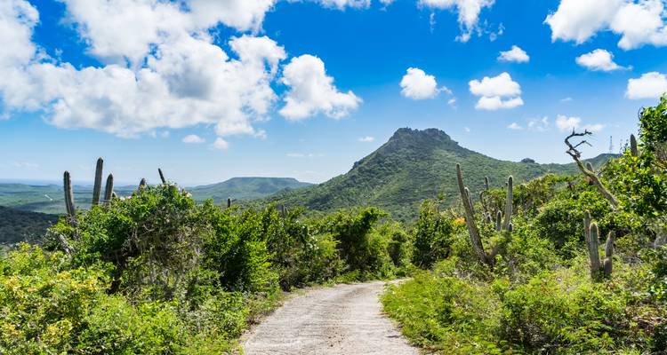 Miami y Curaçao: el sol de la ciudad se une al viaje por carretera por el Caribe - journaway 7