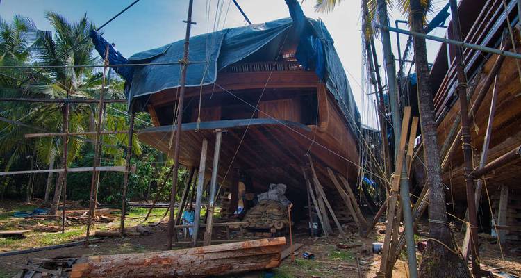 Surclassé - Inde du Sud : Kerala à Goa - Explore! 8