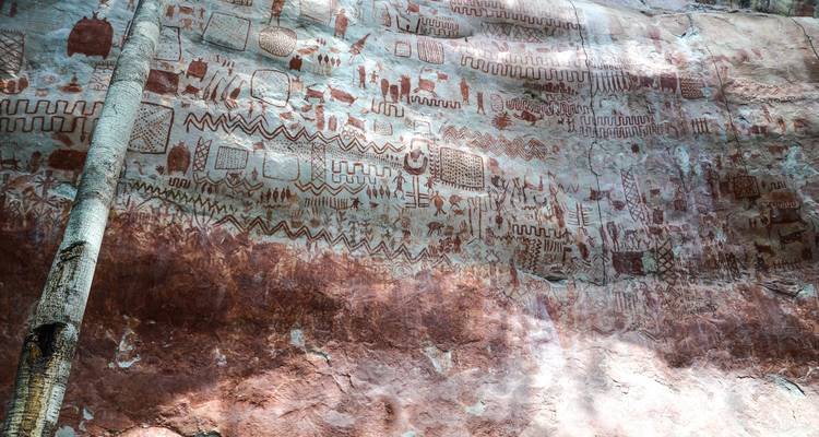 Close-up view of ancient rock art on a cliff surface.