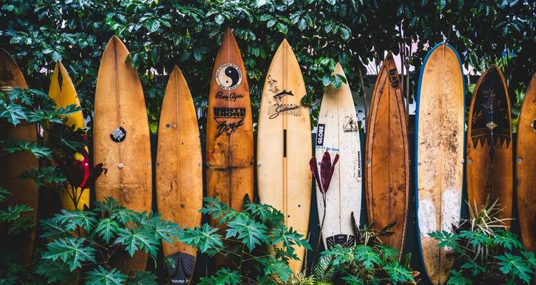 Experiencia Hawaii de 4 días: Descubre Oahu (Bilingüe: Chino, Inglés) - Intertrips 6