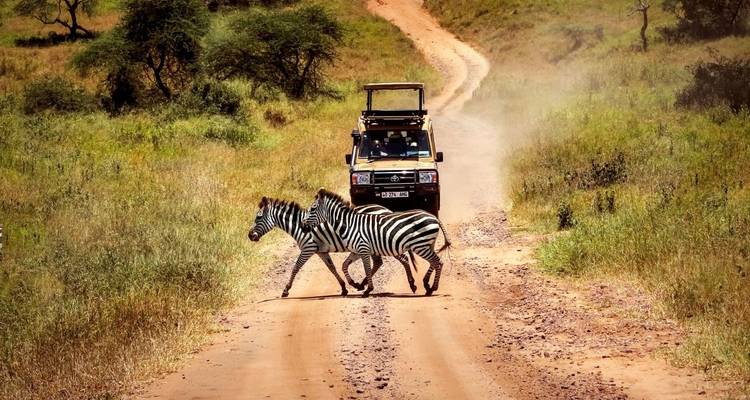 4 Days Mid-Luxury Lodge Wilderness Safari - theKili-Guides 3