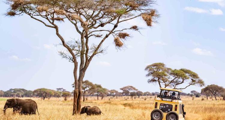 4 Days Mid-Luxury Lodge Wilderness Safari - theKili-Guides 4