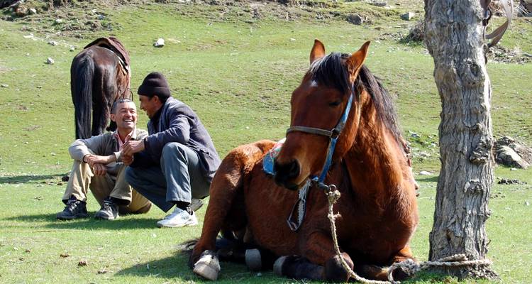 Excursión de 3 días a caballo por la montaña Nuratau - Responsible Travel 7