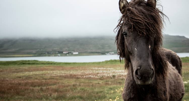 Circuit estival de 8 jours en petit groupe sur le périphérique islandais et dans les hautes terres de Landmannalaugar - BusTravel Iceland 4