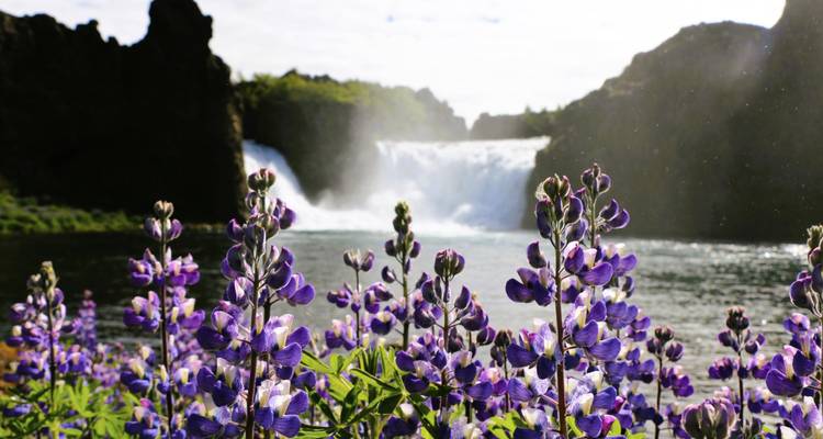 Circuit estival de 8 jours en petit groupe sur le périphérique islandais et dans les hautes terres de Landmannalaugar - BusTravel Iceland 6