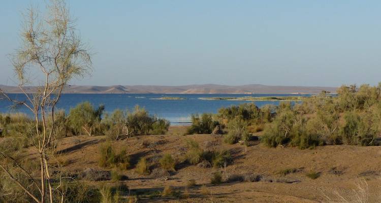 2-Day Desert Yurt Camp Tour - Responsible Travel 2