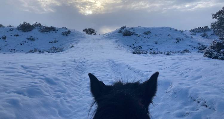 Amazing Winter Patagonia & Torres del Paine - Signature DMC 6
