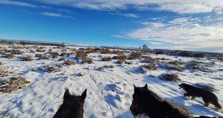 Amazing Winter Patagonia & Torres del Paine - Signature DMC 7