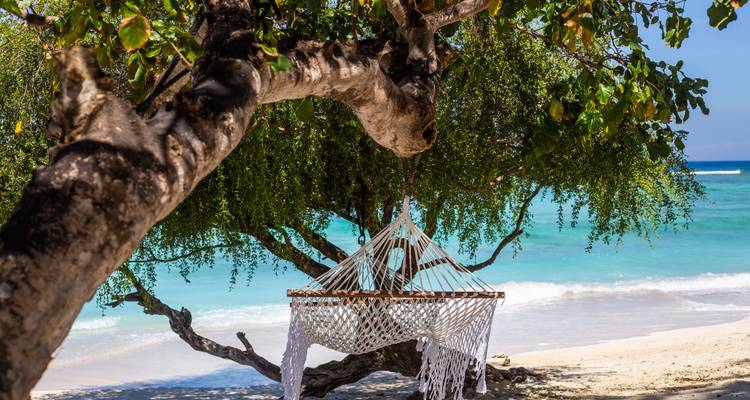 Descubre el Caribe Oriental y las Granadinas 2025-2026 (from Marigot to Bridgetown) - Emerald Cruises 7