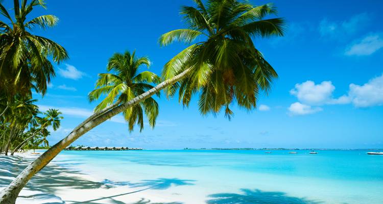 Découvrez les Grenadines et les îles du Vent - Emerald Cruises 7