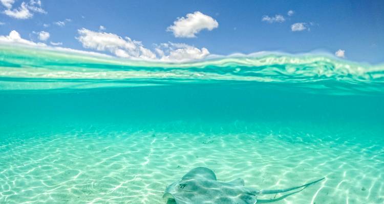 Discover the Vibes of the Caribbean - Emerald Cruises 3