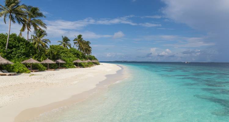 Descubre los tesoros ocultos del Caribe 2025-2026 - 22 Días (from Marigot to Bridgetown) - Emerald Cruises 8