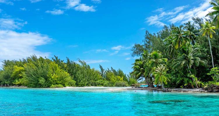 Turquoise lagune klotst tegen een door palmen omzoomd eilandje onder een heldere blauwe hemel in de Zuidelijke Stille Oceaan.
