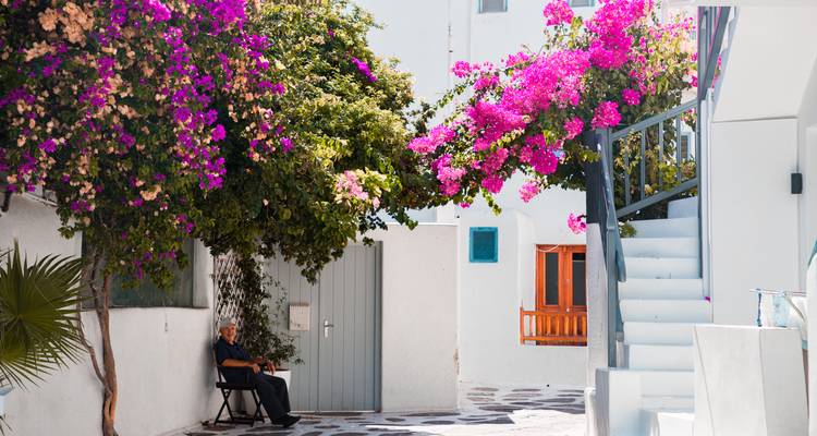 Persoon zittend in een binnenplaats met roze bloemen.