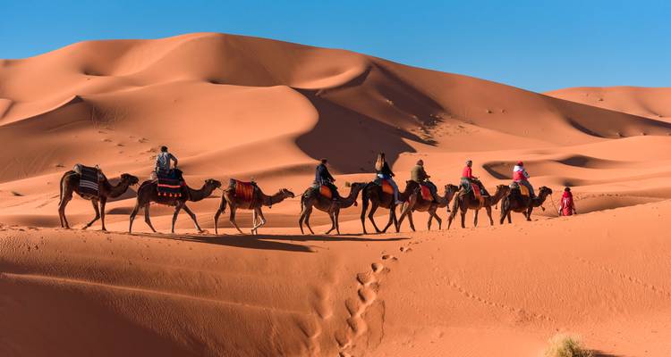 Caravane de chameaux traversant les dunes du désert.