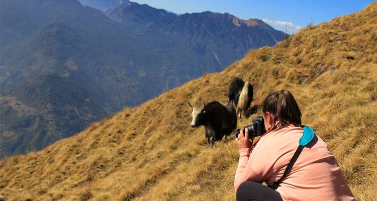 Trek de 3 jours à Mardi Himal - Frolic Adventure Pvt. Ltd. 1