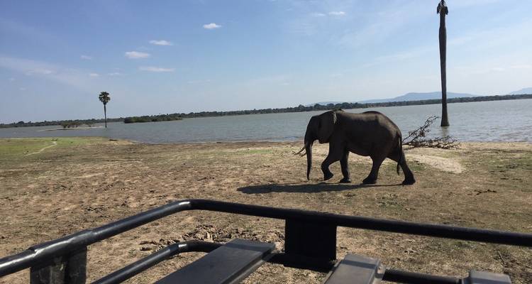 Expérience unique dans le parc national de Nyerere - Akondo Adventures 2