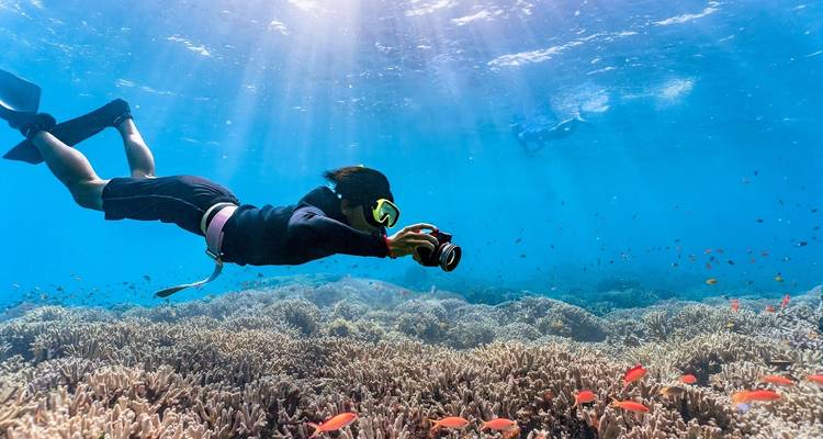 Voyage de 6 jours en Égypte : profitez du meilleur de Sharm Elsheikh - STM Tours LLC 6