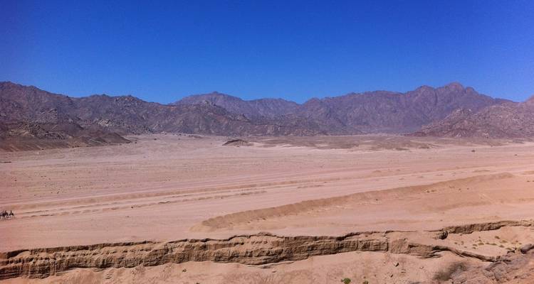 12 Días Lo Mejor de Egipto: El Cairo, Crucero por el Nilo y Sharm El Sheij - STM Tours LLC 6