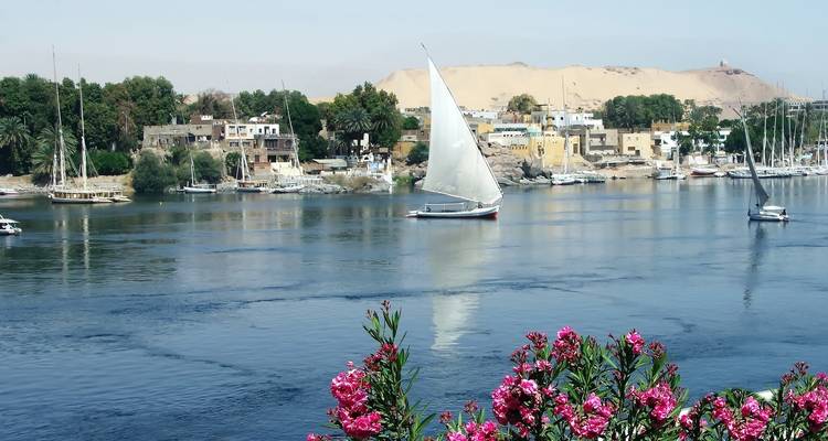 12 Días Lo Mejor de Egipto: El Cairo, Crucero por el Nilo y Sharm El Sheij - STM Tours LLC 8
