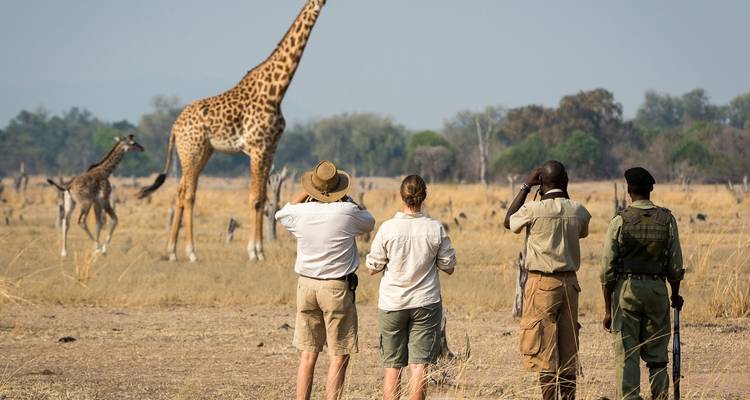 Gruppe von Menschen, die Giraffen in einer Savannenlandschaft beobachten.