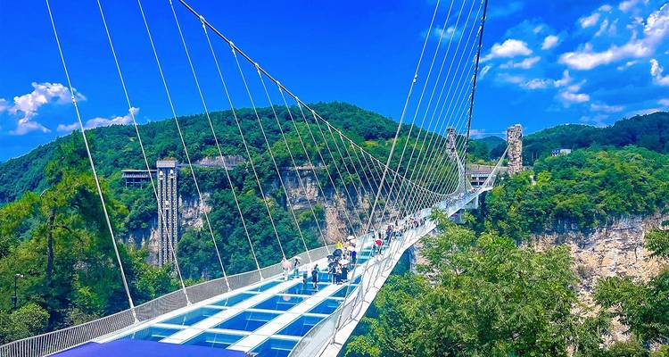 Besucher, die über die Glasbodenbrücke Zhangjiajie Grand Canyon Bridge gehen, die über eine üppige Schlucht gespannt ist.