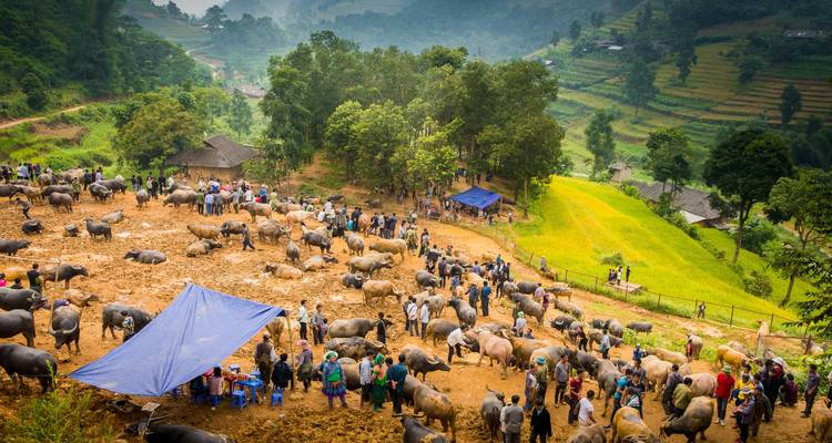 13-Day Journey Through Northern Vietnam - Private Tour - Vietnam Tour Fun 2