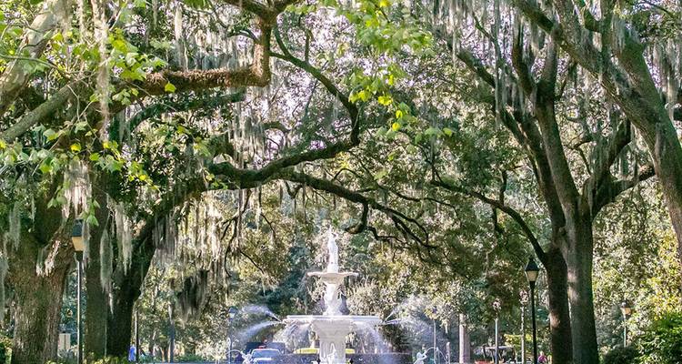Moosbehangene lebende Eichen, die sich über den weißen Springbrunnen im Forsyth Park in Savannah wölben.