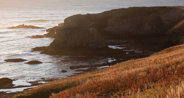 Lumière dorée du soir sur les falaises côtières escarpées et les douces vagues de l'océan le long du rivage de l'Oregon.