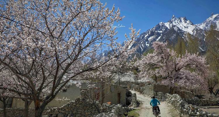 Hunza Pakistán Excursión a los Cerezos en Flor - Hunza Explorers 2