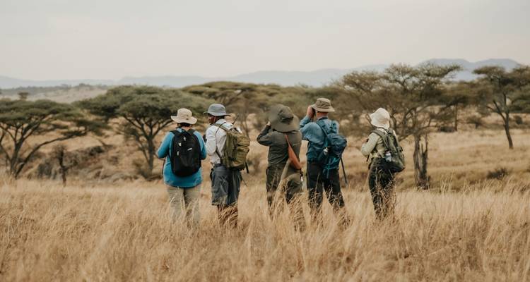 Safari de Aventura de 8 días por Tanzania - Lights on Africa Destinations & Safaris 8