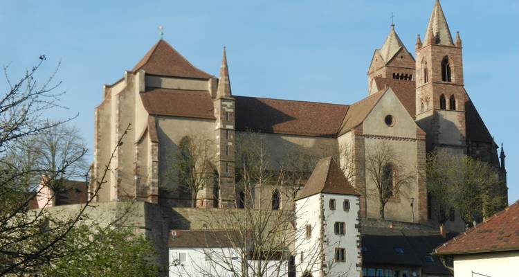 Castles along the Rhine (2024) (Basel to Amsterdam, 2024) - Uniworld Boutique River Cruise Collection 10