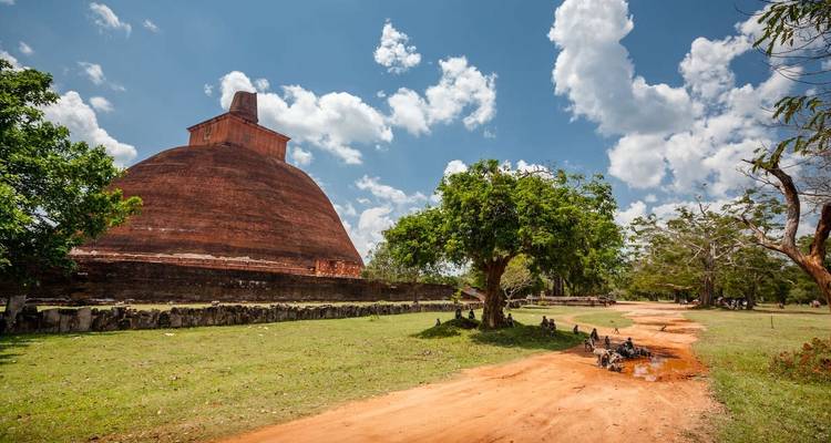 Sri Lanka actif - Explore! 9