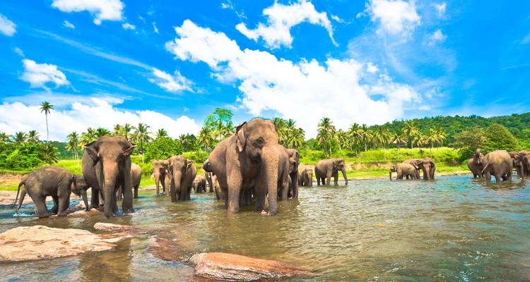 Sri Lanka actif - Explore! 4