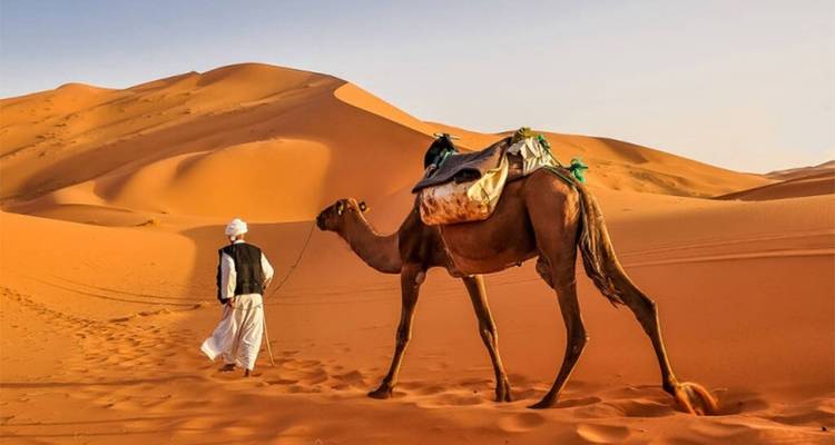 8-Day Journey Through Morocco’s Rich Culture - Morocco Premium Tours 3