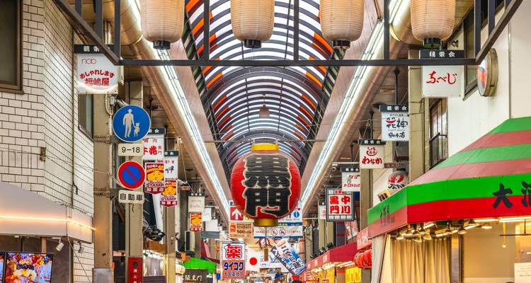 Aventure culturelle de 5 jours à Kyoto, Osaka et Nara - Tourist Journey 3