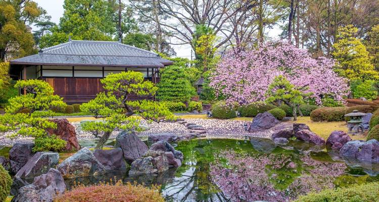 Aventure culturelle de 5 jours à Kyoto, Osaka et Nara - Tourist Journey 6