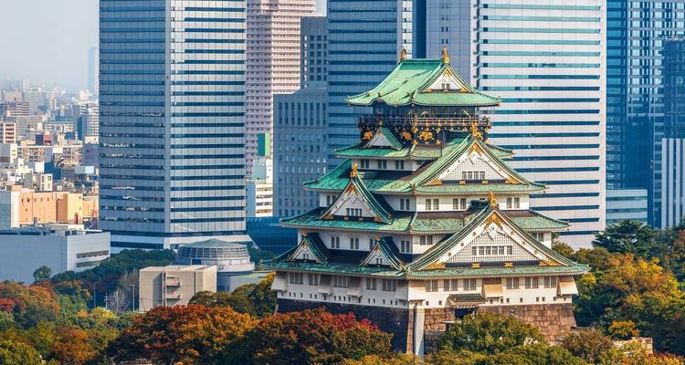 Aventure culturelle de 5 jours à Kyoto, Osaka et Nara - Tourist Journey 7