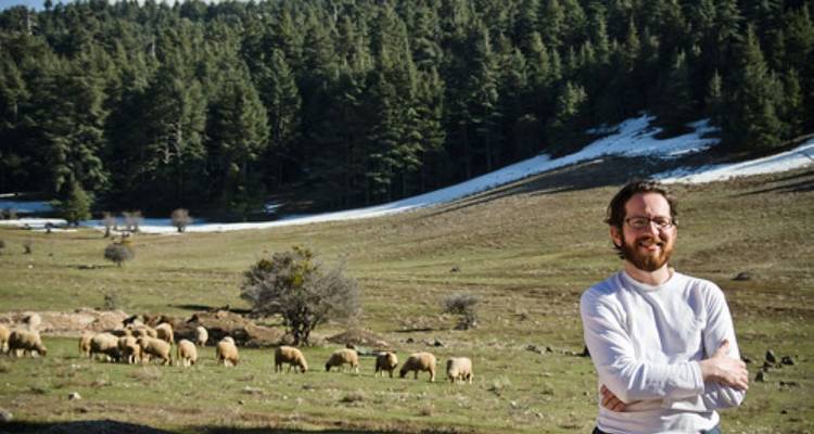 Man standing in a meadow with sheep and forest in the background.
