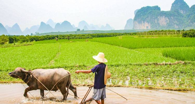 21 Days Customized China Tour, Daily Start & No Group - TravelChinaGuide 7