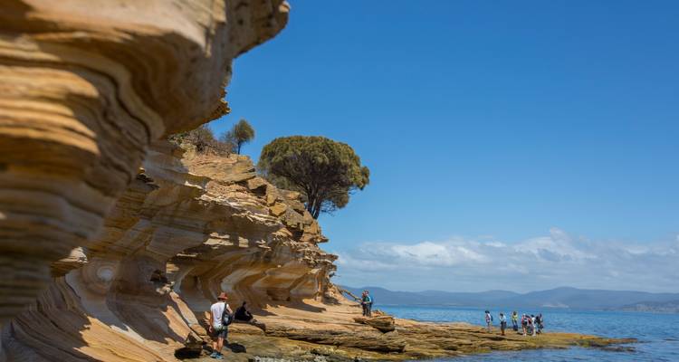 Circuito de isla en isla de 2 días desde Hobart - Tours Tasmania 4