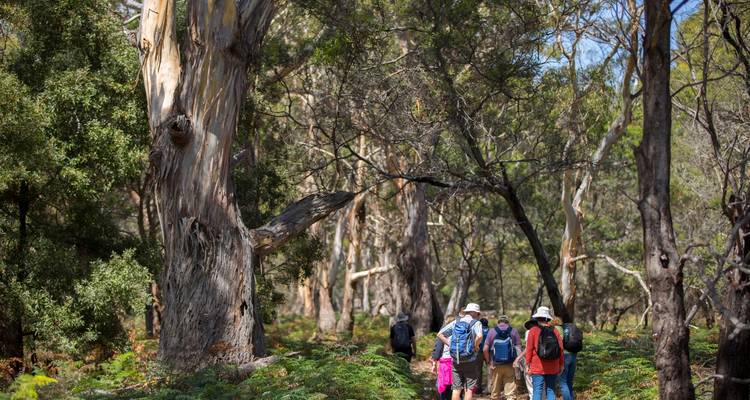 Circuito de isla en isla de 2 días desde Hobart - Tours Tasmania 3