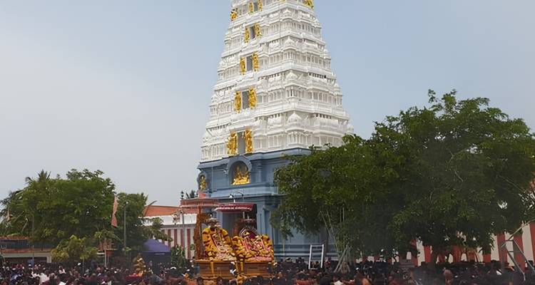 Grote menigte verzamelt zich voor een levendig tempelfeest onder een imposante wit en gouden gopuram