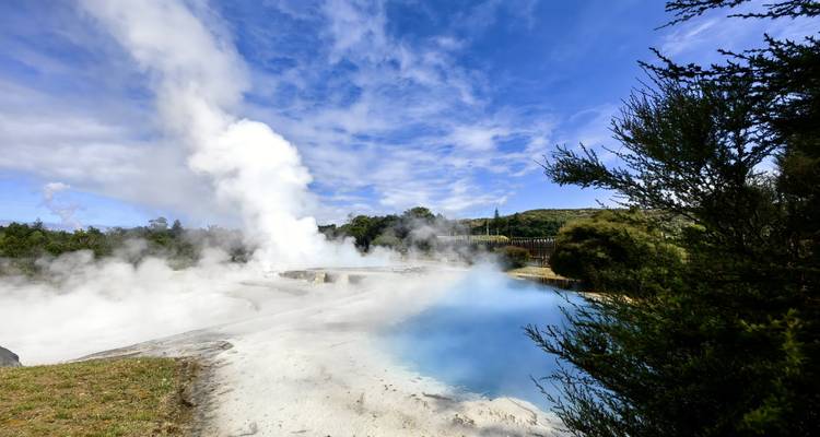 Circuito de 23 días por las islas Norte y Sur de Nueva Zelanda - Oasis Travel 2