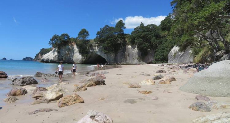 Circuito de 23 días por las islas Norte y Sur de Nueva Zelanda - Oasis Travel 4
