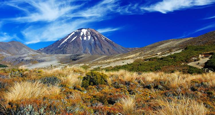 Circuito de 23 días por las islas Norte y Sur de Nueva Zelanda - Oasis Travel 7